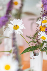 flower decoration on a table with a bee on a Chamomile