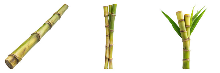 Obraz premium Set of sugar cans stalk isolated on transparent background