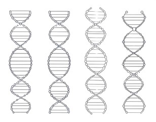 Four DNA double helix diagrams