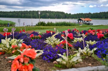 A garden with a beautiful lake in the background.