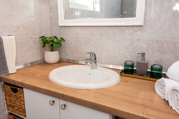 Stylish bathroom sink with plant, mirror, rolled white towels and modern soap dispenser