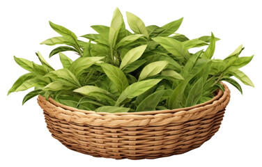 Naklejka premium PNG Basket wicker plant herbs.