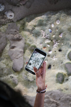 Capturing Nature's Details With a Smartphone by the Shore