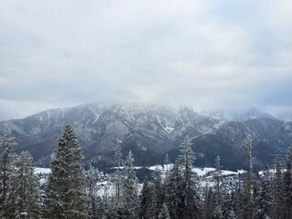 ŚNIEG