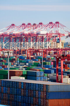 Shanghai Shipping Container Port