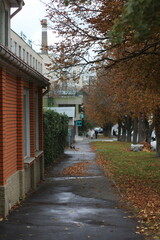 street in the old town