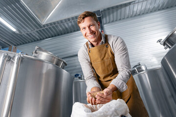 Male brewer inspecting barley grain in industrial brewery setting on background steel tanks for...