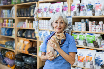 Senior woman veterinarian is standing with dog Chihuahua in pet store pharmacy. Prompt selection of...