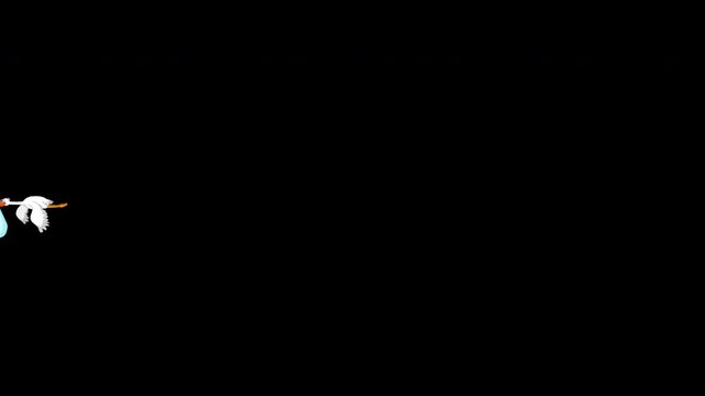 Stork flying with baby blanket animation. Cartoon white duck, bird fly, wing. entering and exiting the stage. 2D animal character wingbeat video. Alpha channel transparent footage	