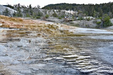 Yellowstone. Mammoth Hot Springs Terraces. 