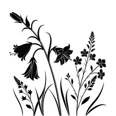 Black silhouette of bell shaped flowers and grass on white background black and white