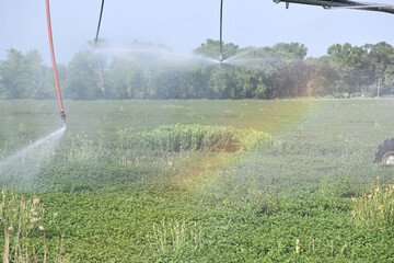 Pivot Irrigation Rainbow
