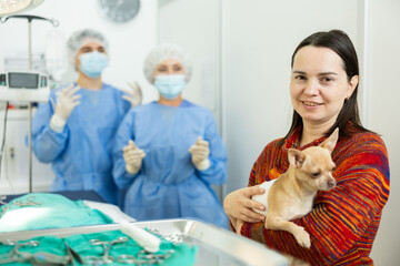 Woman owner carefully holds and cuddles chihuahua pet after useful therapeutic manipulations in...