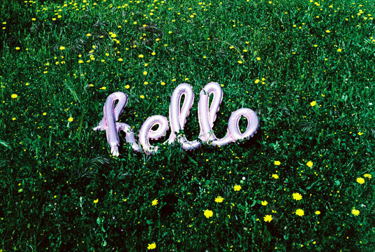 hello balloon in a flower field, 35mm