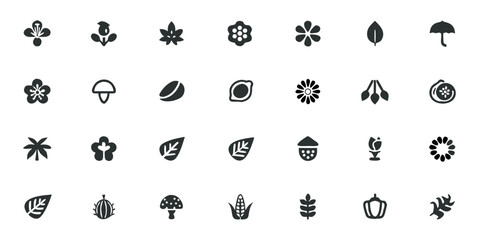 Tropical Nature Icons Solid Black Vector Pack – Exotic Plants, Wildlife Symbols, and Rainforest Elements

