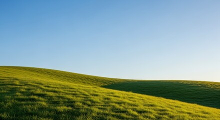 Fototapeta premium Rolling Green Hills Under a Clear Blue Sky - Serene Nature Background for Commercial Use