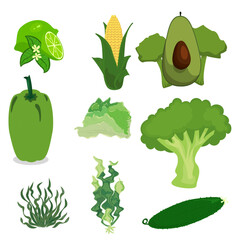 Avocado Bell, lettuce pumpkin Energy green icon Organic product set vector illustration design