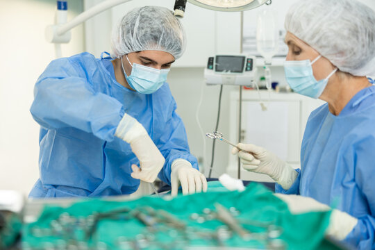 Skilled young veterinarian with older female assistant conducting surgical procedure in veterinary operating room, providing medical care to sick pet..