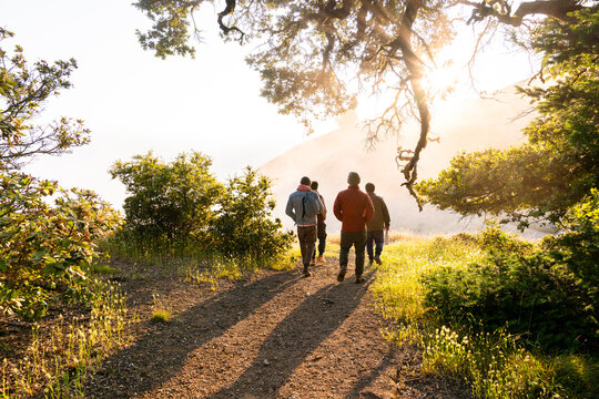 hiking nature together