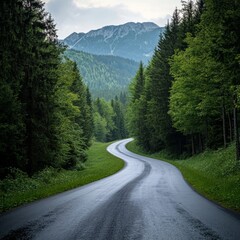 Summer in Slovakia: road perspective.