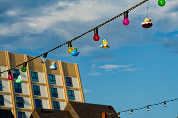 Obraz premium Colorful Street Lights and Ducks Against Urban Backdrop in copenhagen CPH