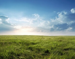 Vast grassy plain under a dramatic sky at sunset