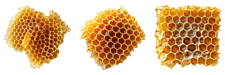 Set of honeycomb with mint leaves isolated on transparent background