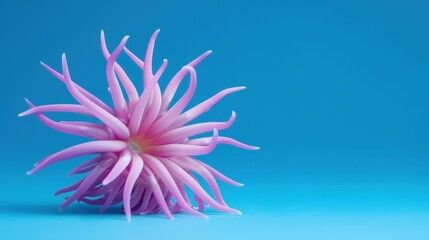 Obraz premium A stunning sea lily stands out on an indigo backdrop, perfect for showcasing the beauty of the underwater world.