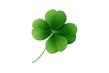Four-Leaf Clover Isolated on White Transparent Background
