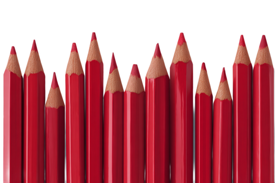 Red Pencils Array Isolated on White Transparent Background