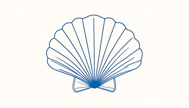 Scallop shell illustration