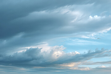 Naklejka premium photorealistic ultraminimalist depiction of pristine gray sky with single bird soaring gracefully