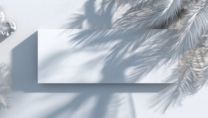 Blank white rectangle backdrop with palm leaf shadows.