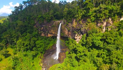 Lush waterfall cascades down cliff face in dense jungle