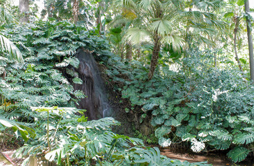 Waterfall in the middle of green nature