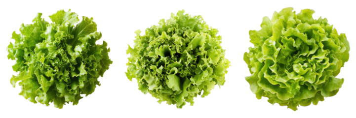 Set of fresh salad isolated on transparent background