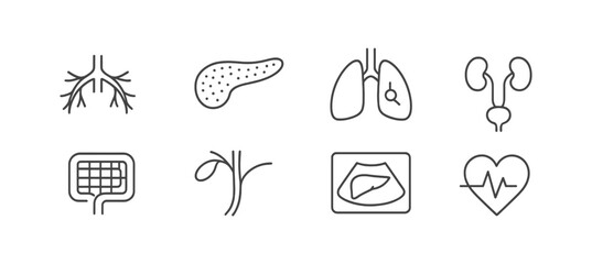 Medical and anatomy line icon set. healthy, vital signs, organs linear collection