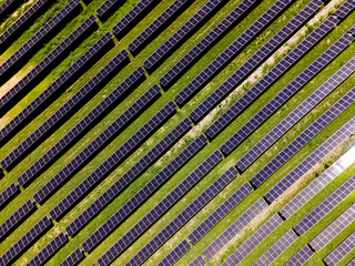 Plakat Photovoltaic panels capture sunlight for clean power generation.