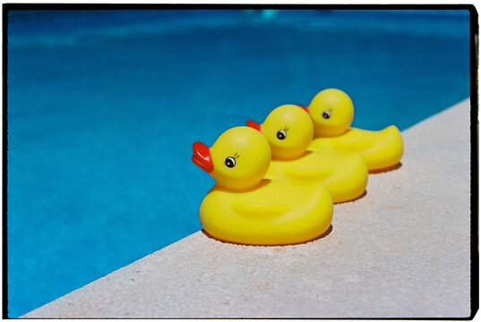 three rubber ducks on the pool edge, 35mm