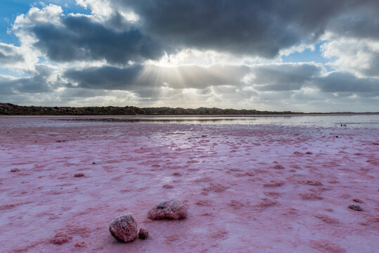 Pink Lake and Light Rays