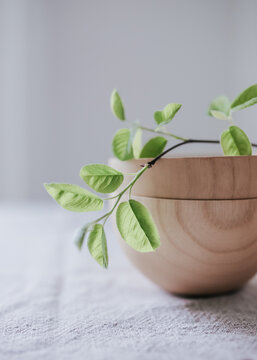 Minimalist wooden bowl with green twig