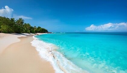 Fototapeta premium beautiful beach shore with clear blue water
