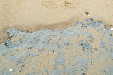 Sandy beach with footprints and blue clay by the shoreline.