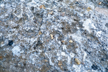 Textured rocky surface with moss and lichen details.