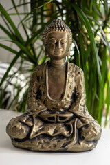 Peaceful bronze buddha statue with intricate detailing amidst indoor greenery.