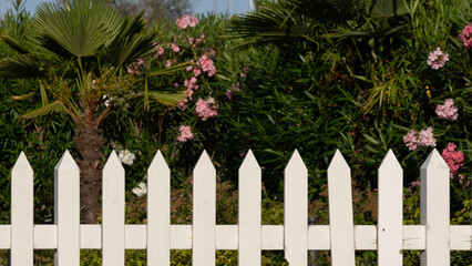 White Picket Fence with Tropical and Flowering Shrubs