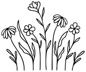 Flowers | Floral Line Art | Vector Botanical Artwork