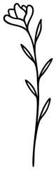 Flower | Floral Line Art | Vector Botanical Artwork