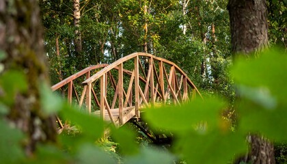 Wooden arch bridge through lush forest