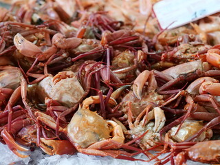 Freshly caught crayfish for sale at a weekly market